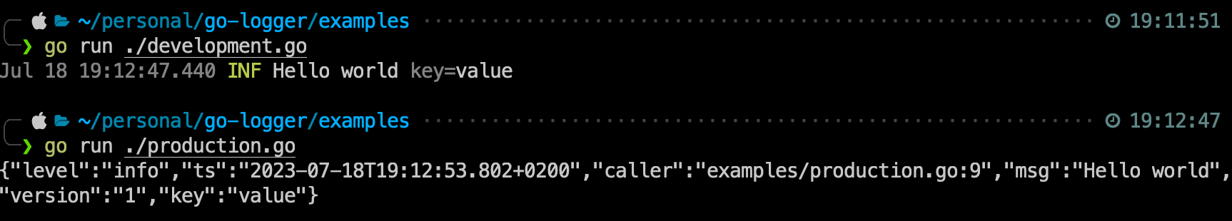 Go logger example